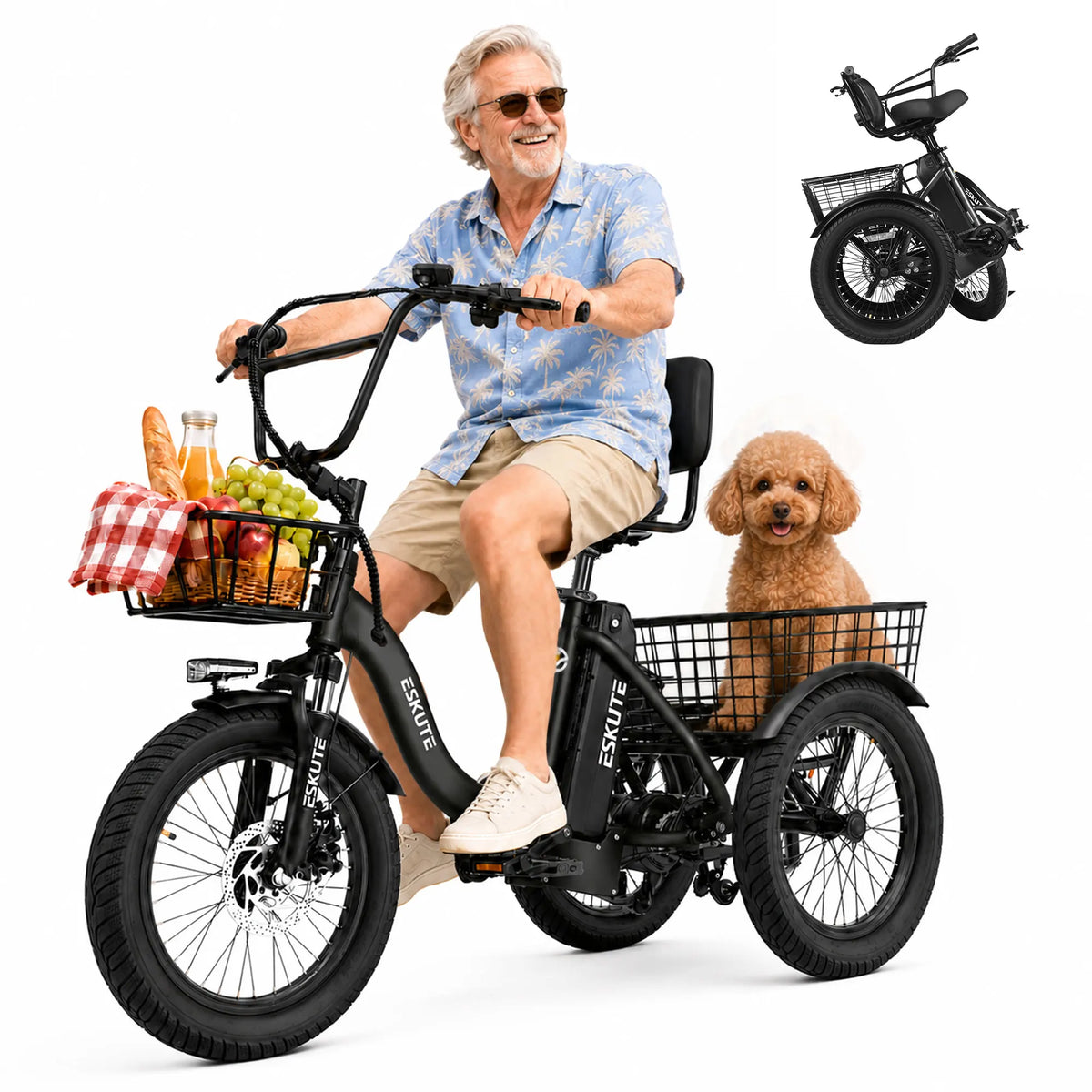 ESKUTE T300P Folding Electric Trike With Removable Battery