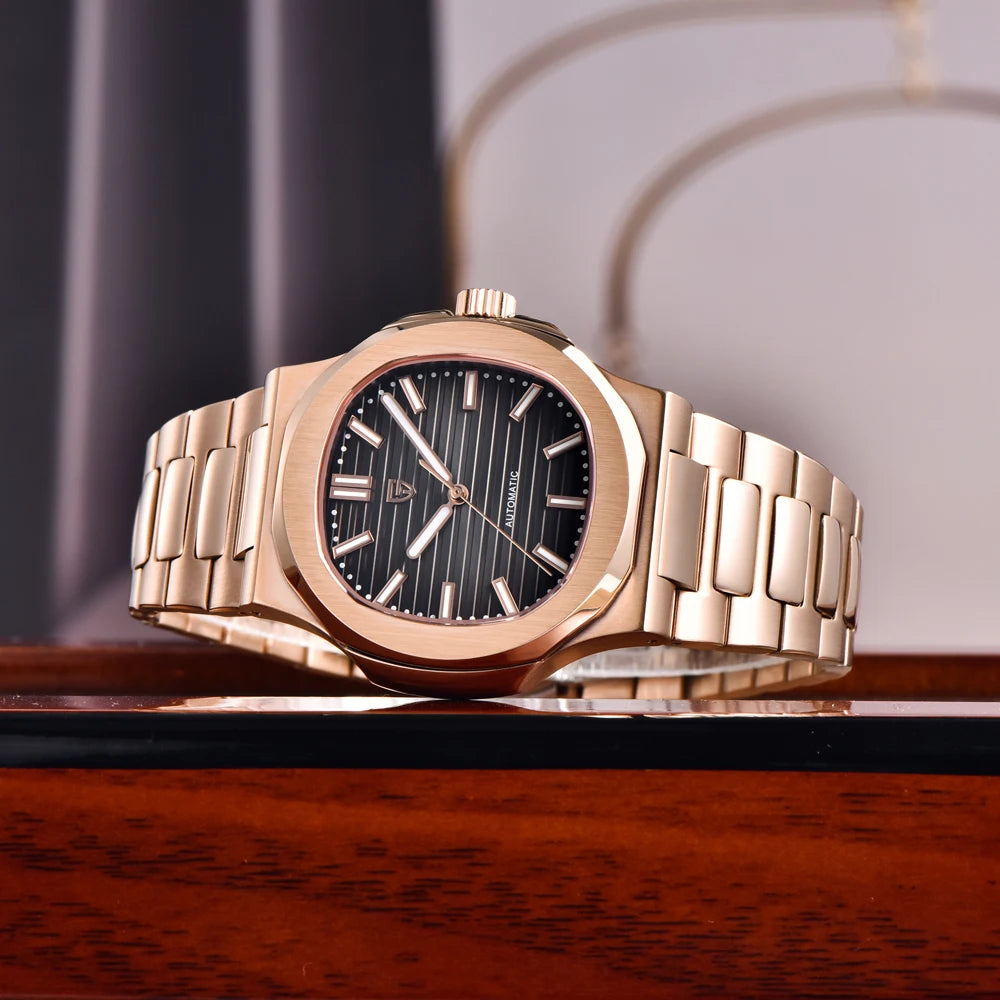 PAGANI DESIGN Men's Luxury Automatic Mechanical Sapphire Wristwatch