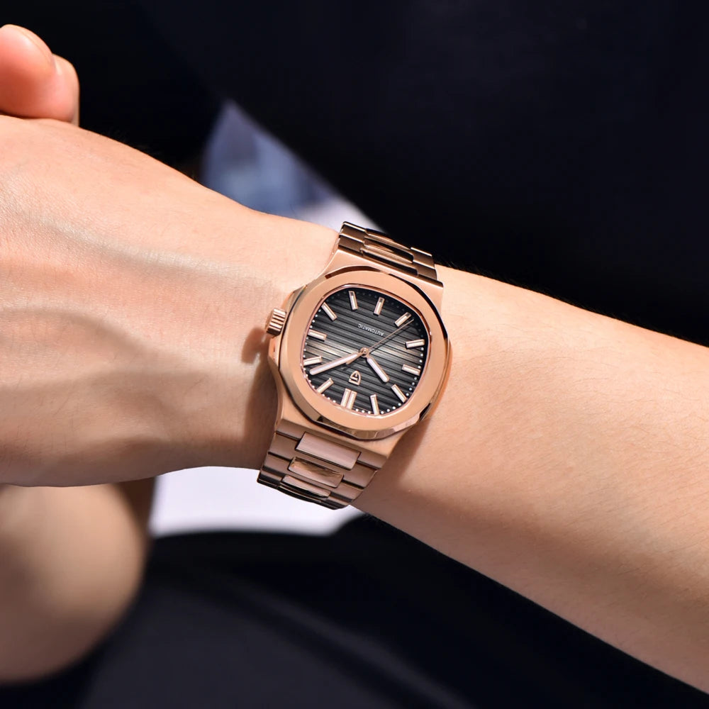 PAGANI DESIGN Men's Luxury Automatic Mechanical Sapphire Wristwatch
