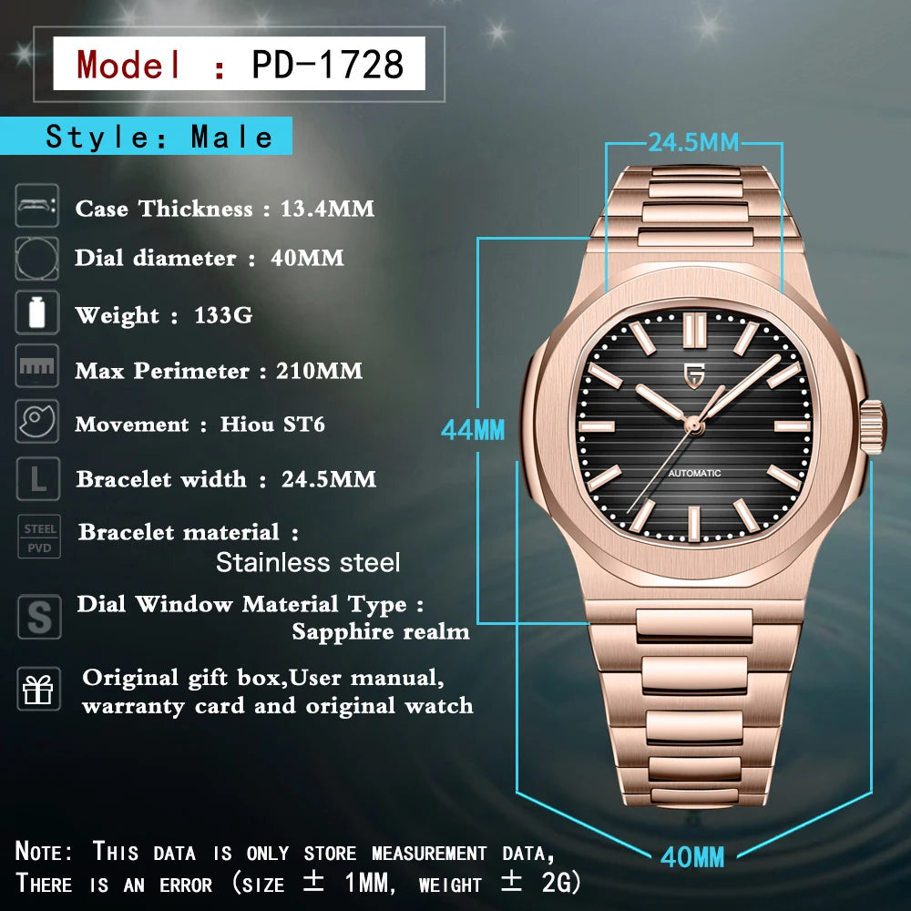 PAGANI DESIGN Men's Luxury Automatic Mechanical Sapphire Wristwatch