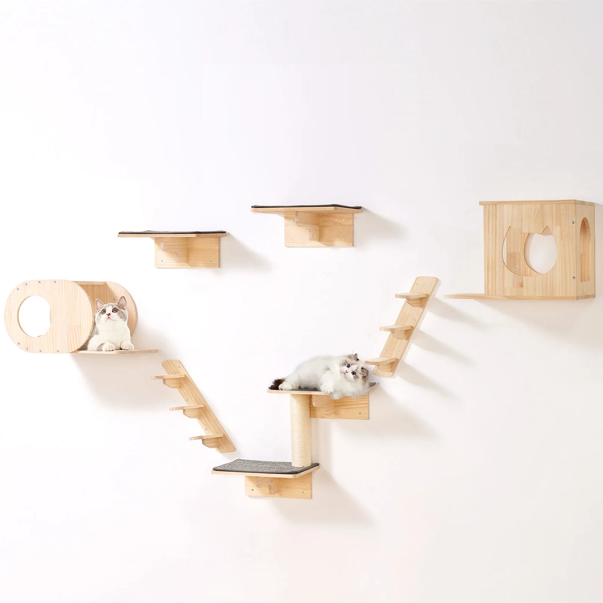 Succebuy Double Wall Mounted Cat Shelves With Perches And Hammocks