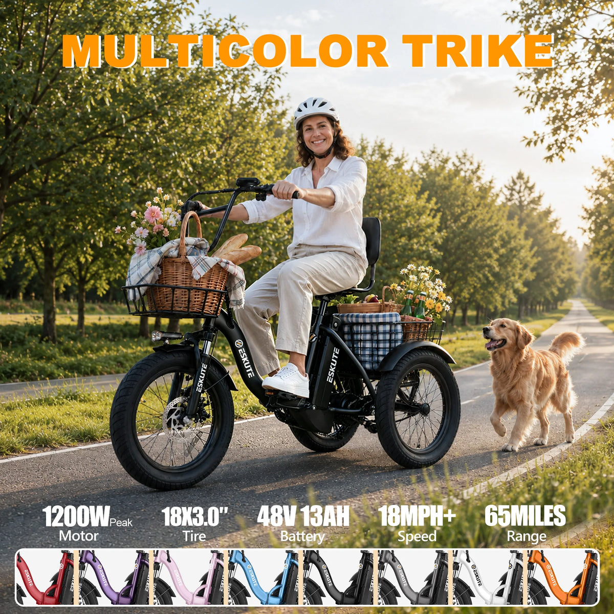 ESKUTE T300P Folding Electric Trike With Removable Battery